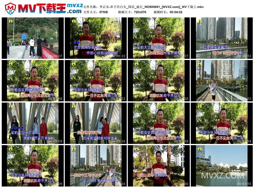 李正东-牵手共白头_国语_流行_MD500691
